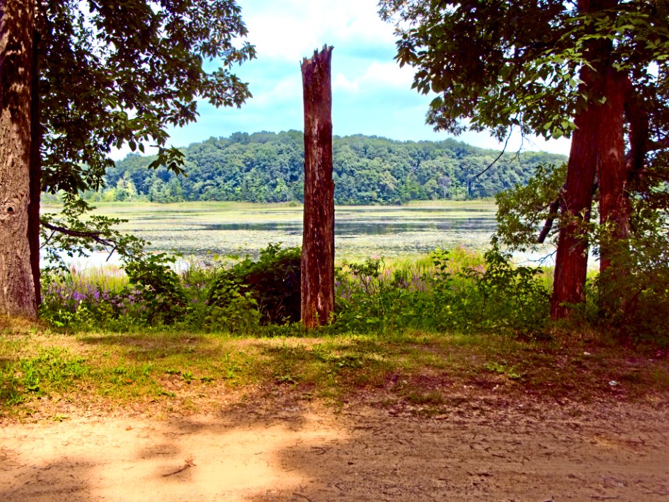 08augmudLake 2448