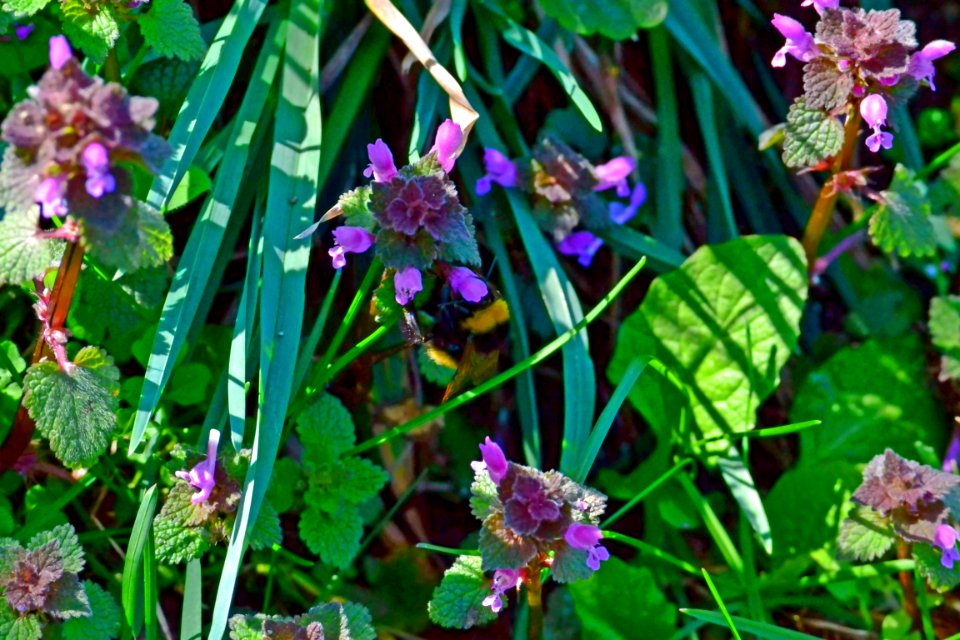 Spring 2014