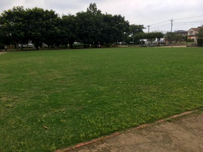 Koyama Park in Kiyose-shi