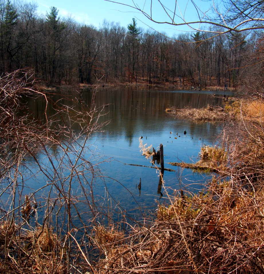 duckLake 3654