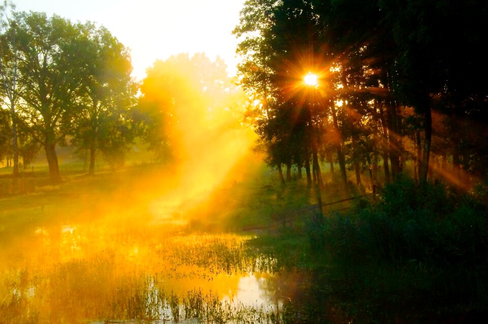 Lake masuria nature