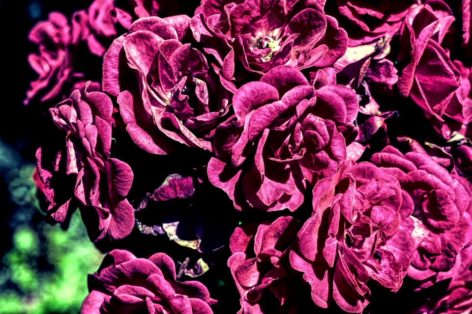 digital painting (37)