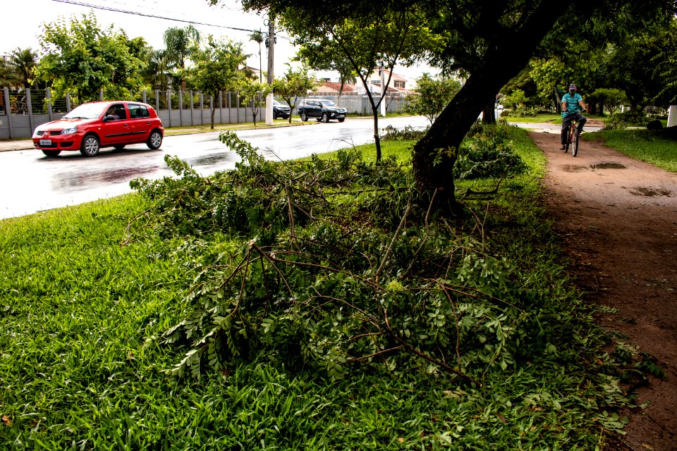 09.02.2021 - Supressão de árvores na Avenida Dom Joaquim - Foto Michel Corvello