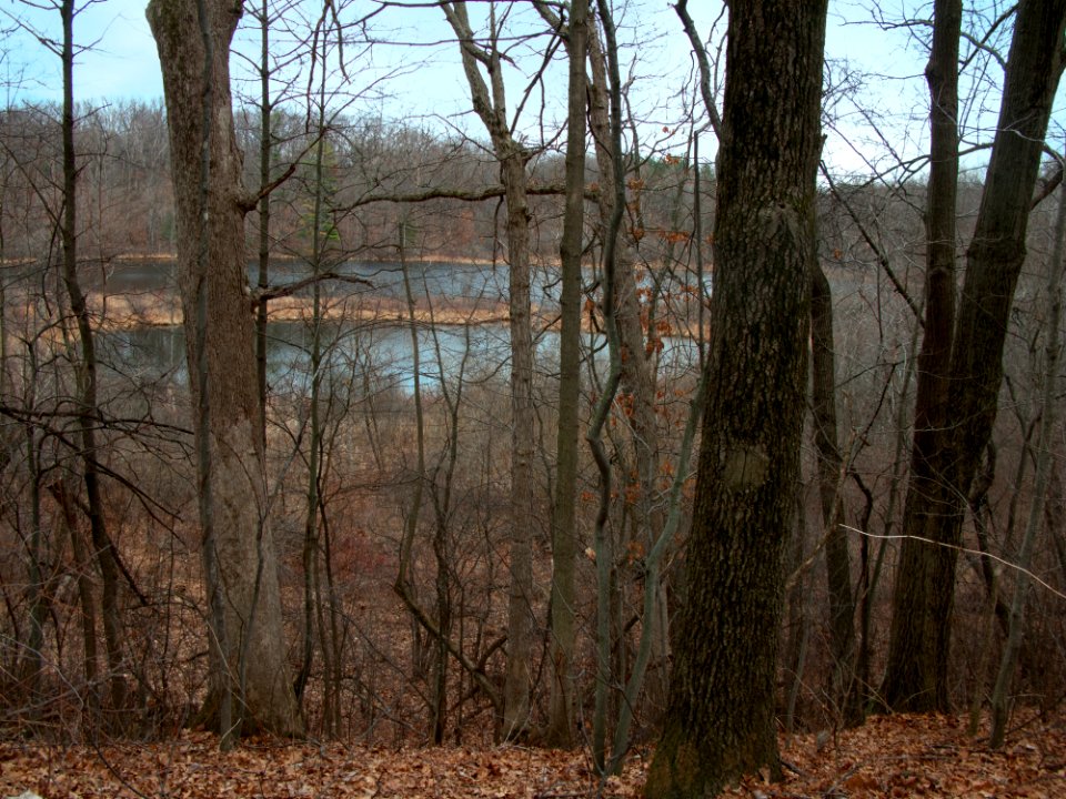 baldmountain 3631