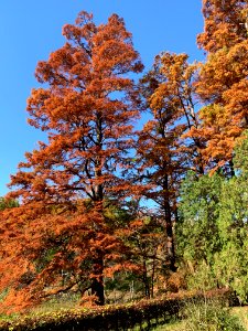 Sayama Park in Higashimurayama-shi
