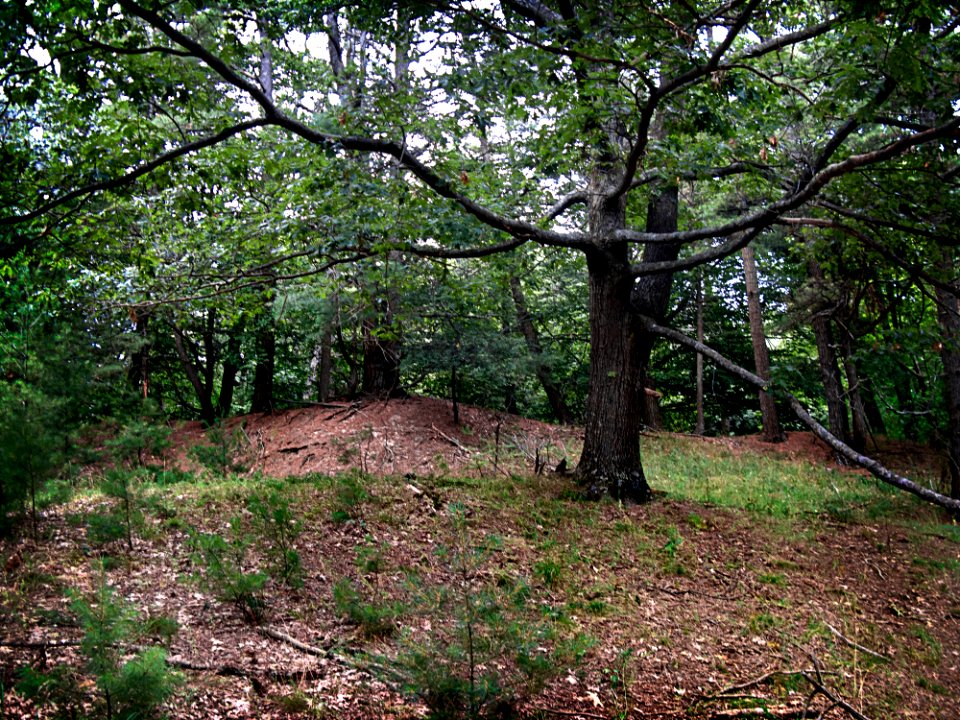 08coastGuardTrail 3004