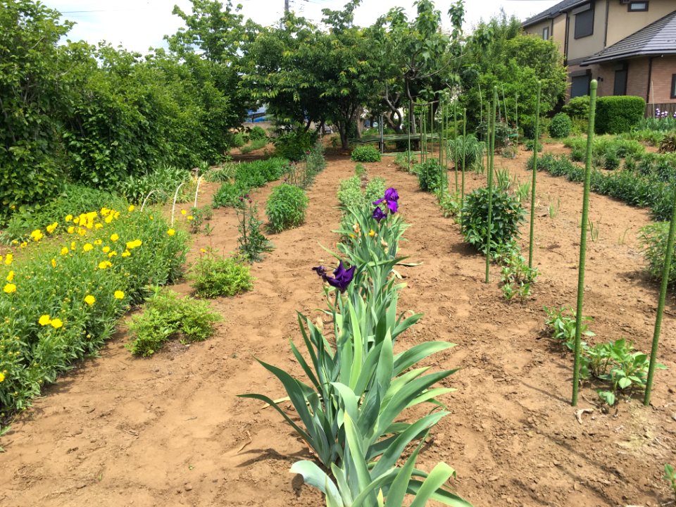 Nishioizumi in Nerima-ku