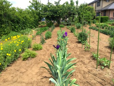 Nishioizumi in Nerima-ku
