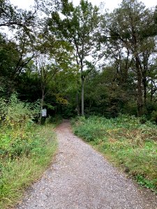 Noyamakita-Rokudoyama Park in Musashimurayama-shi