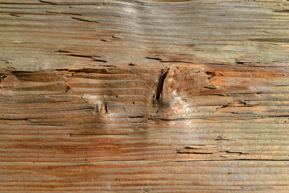 wood