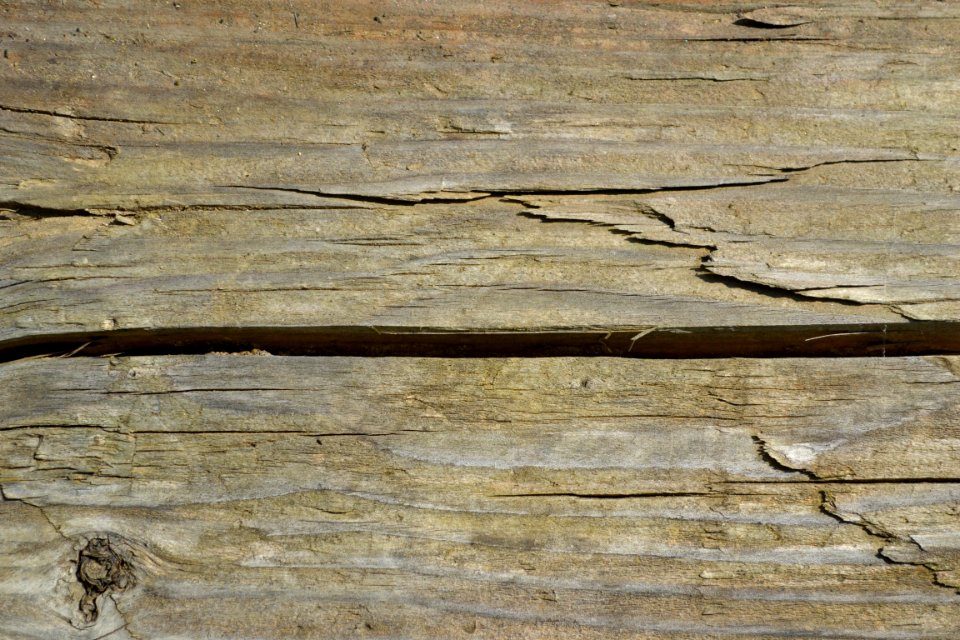 wood