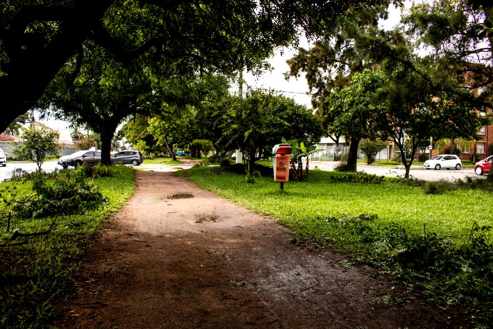 09.02.2021 - Supressão de árvores na Avenida Dom Joaquim - Foto Michel Corvello
