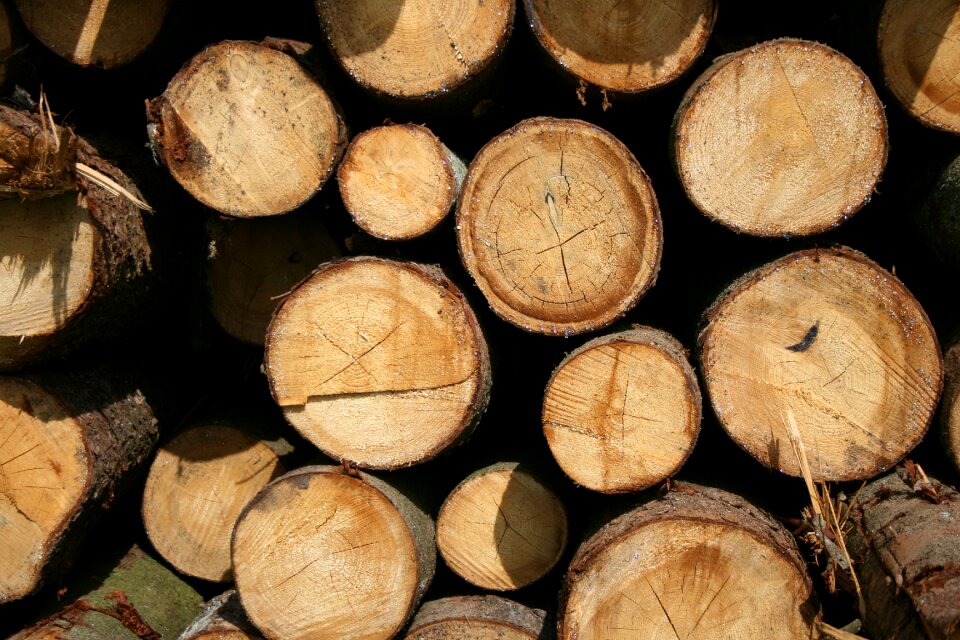 Like holzstapel close up