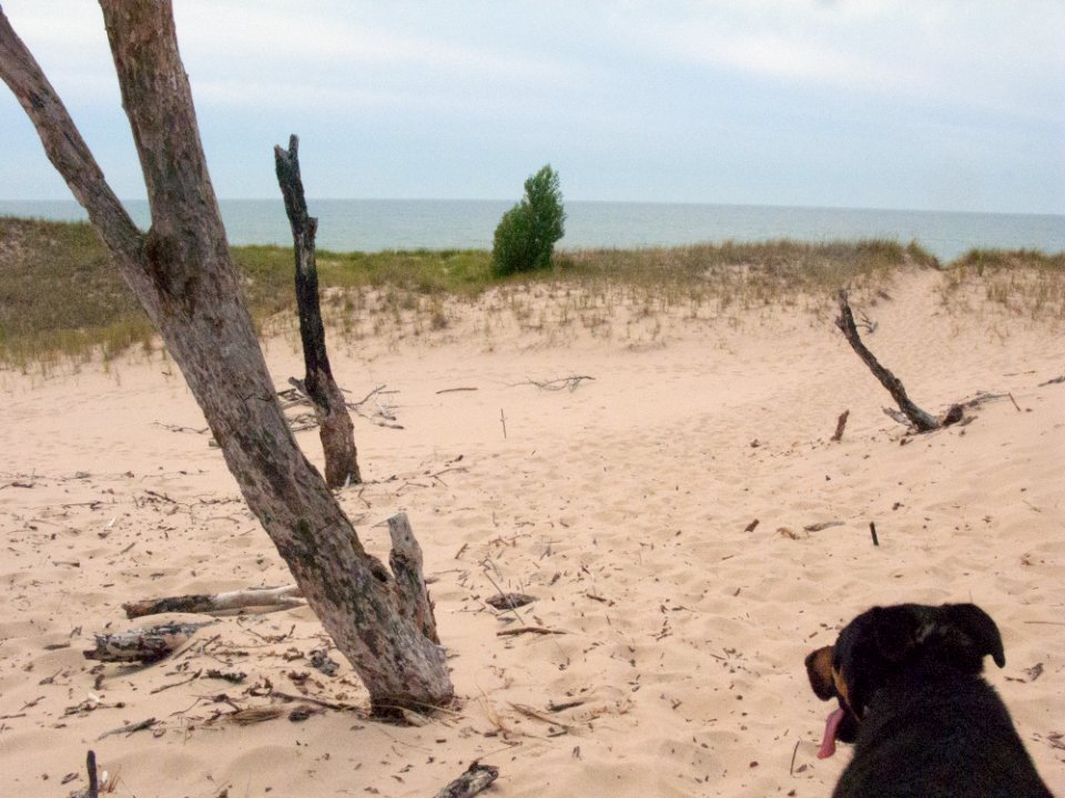 lakeMichigan 2991