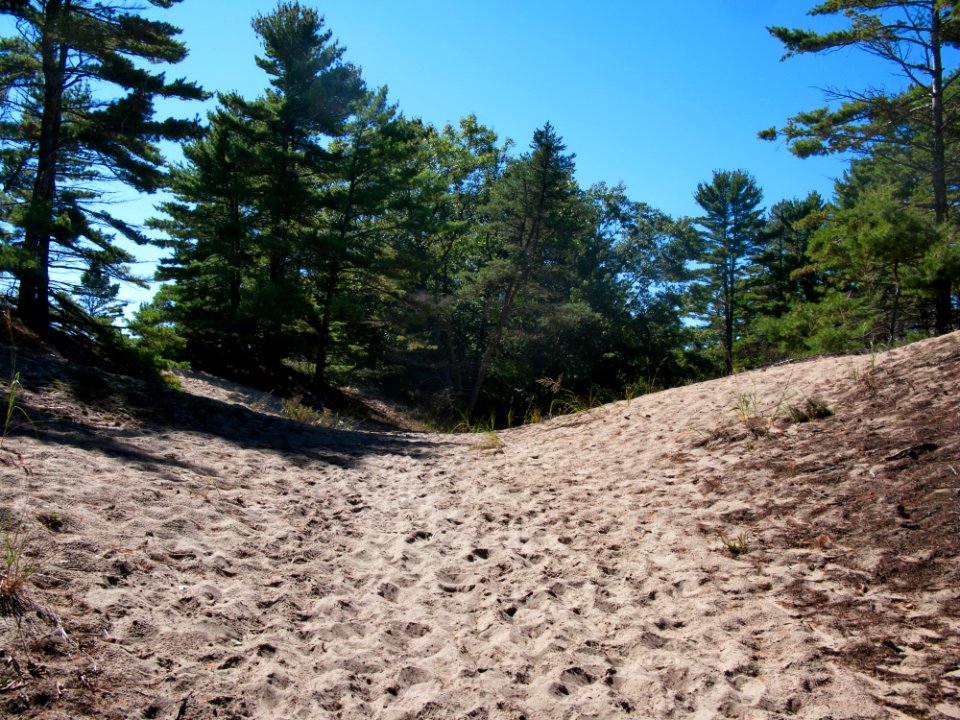 3520 LudingtonStatePark