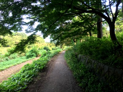 Musashino Park in Fuchu-shi 府中市 東京