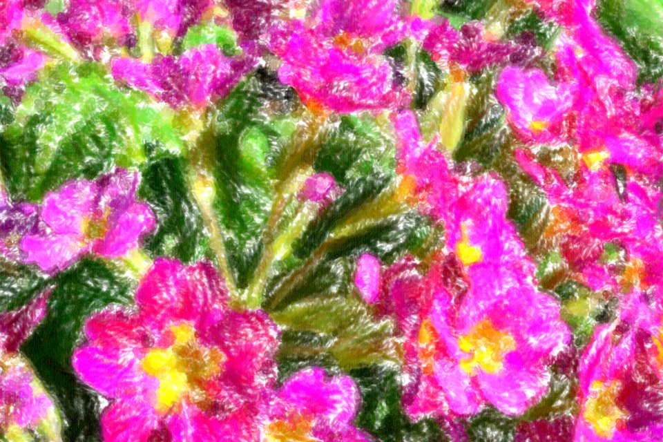 crayon 1