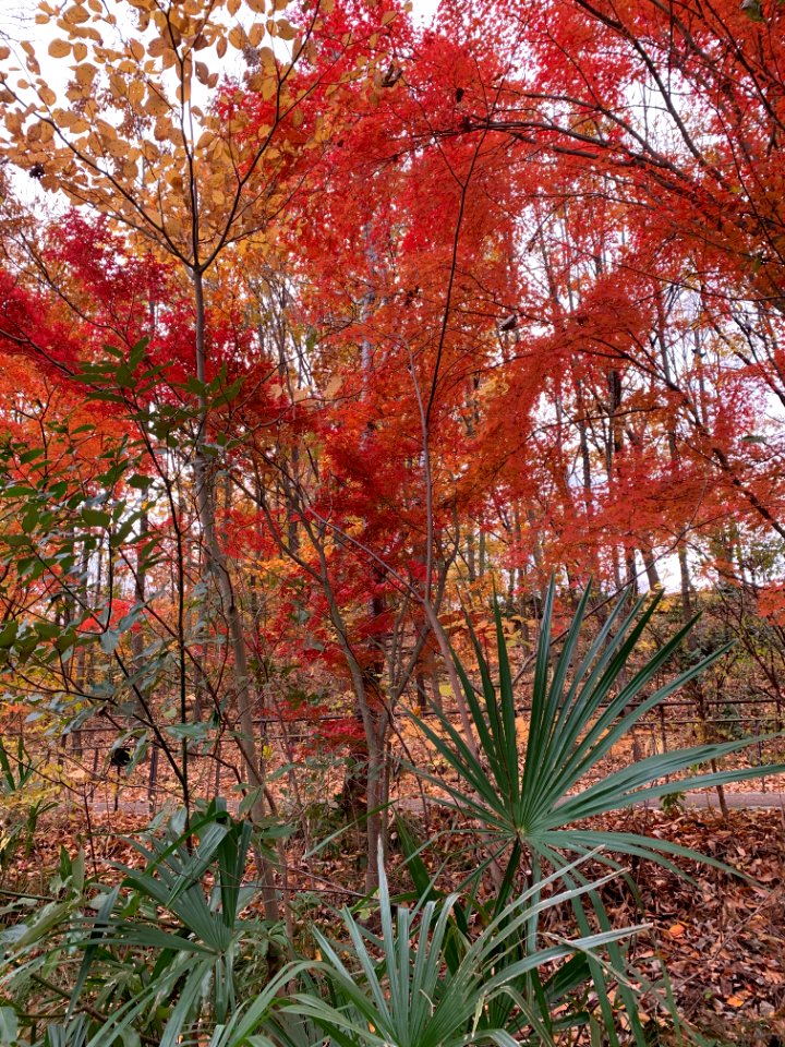 Akabane Nature Observatory Park in Kita-ku