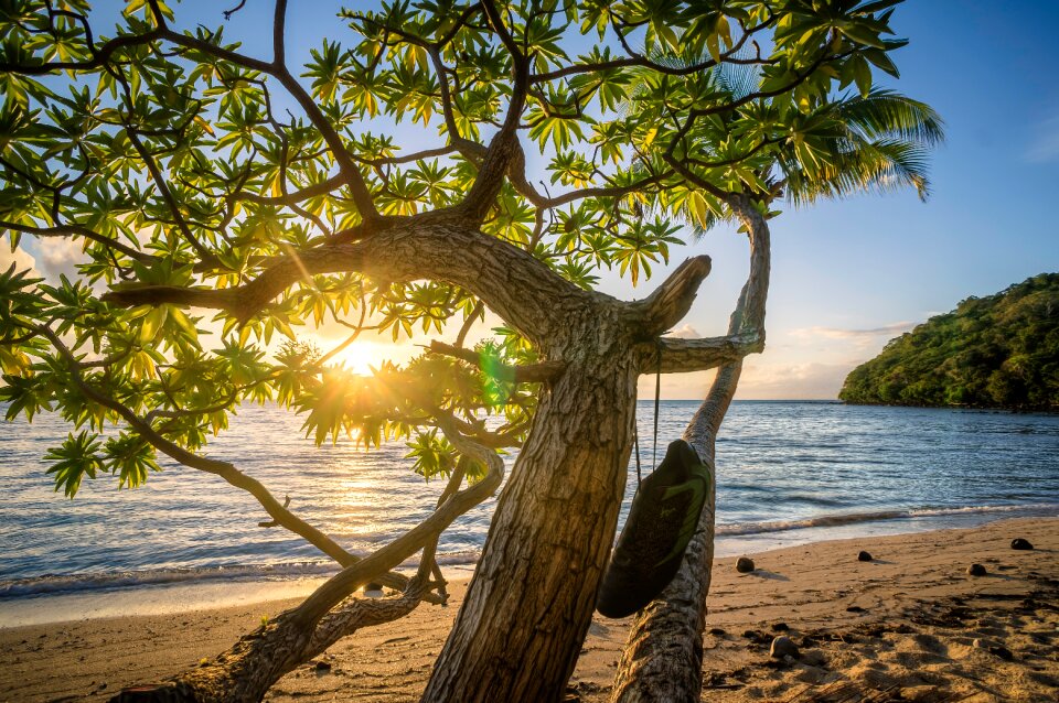 Sea coast shore