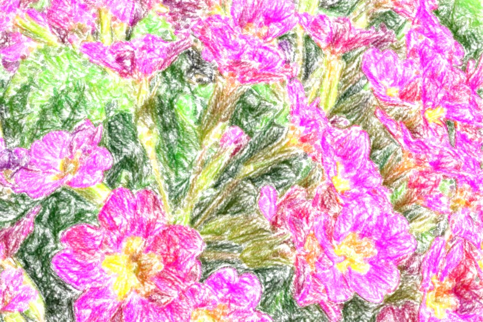 crayon