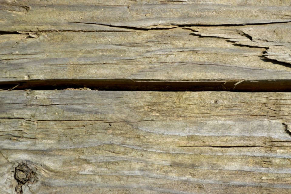 wood
