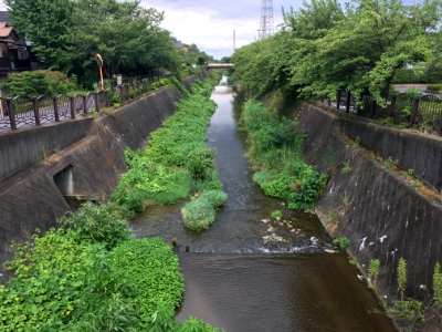 Mogusa in Hino-shi