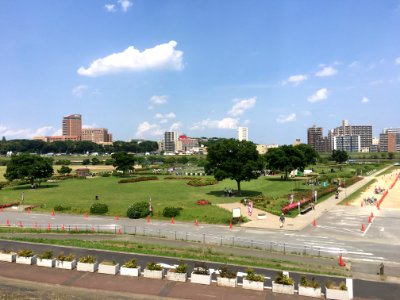 Koiwa Shobu Garden in Edogawa-ku