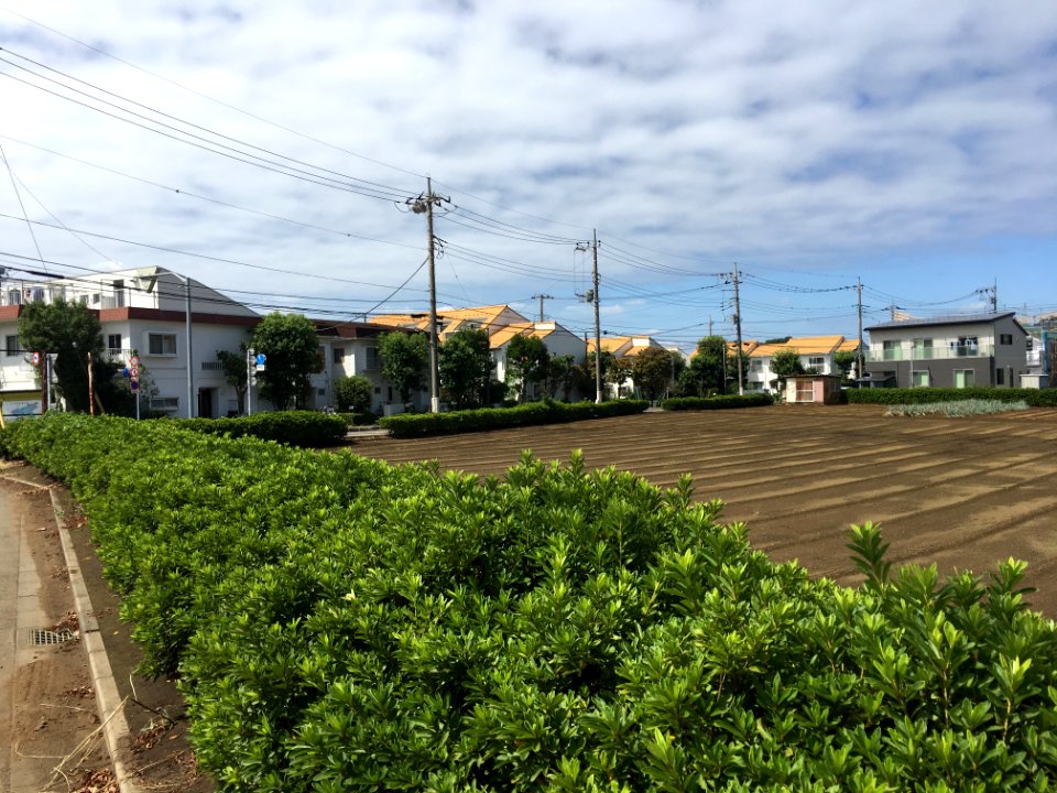 Shimokiyoto in Kiyose-shi