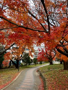 Akabanedai in Kita-ku