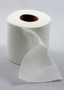 Roll of toilet paper photo