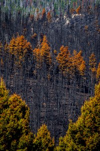 20190913-FS-PJK-02360 TONED