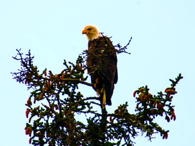 IMG 7625.jpg