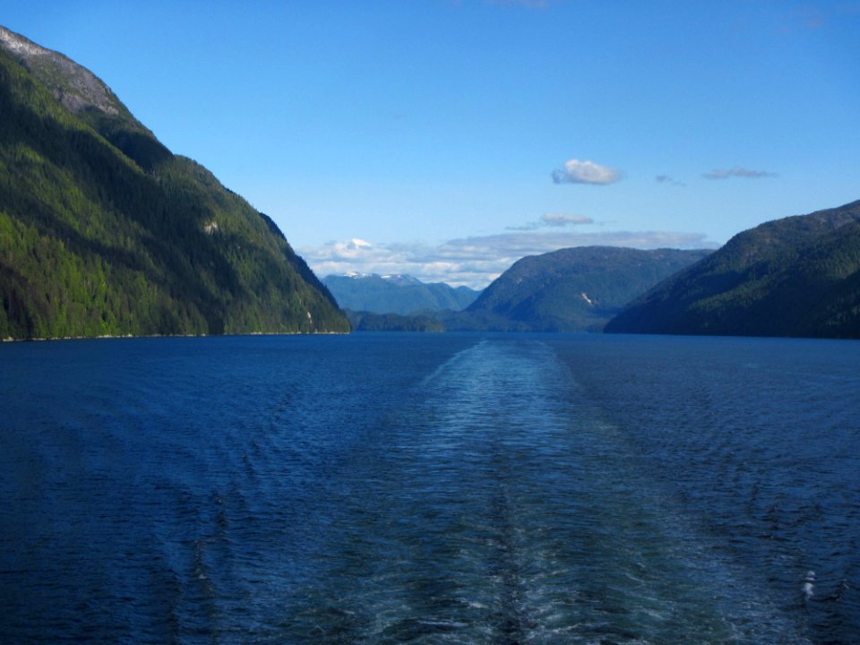 IMG 5253.jpg