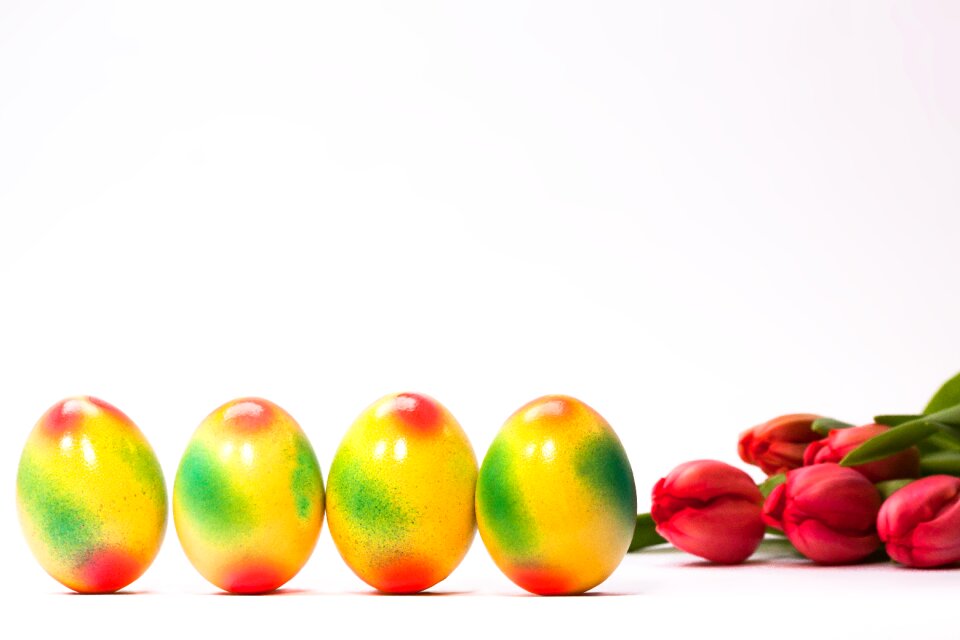 Frühlingsanfang spring awakening easter