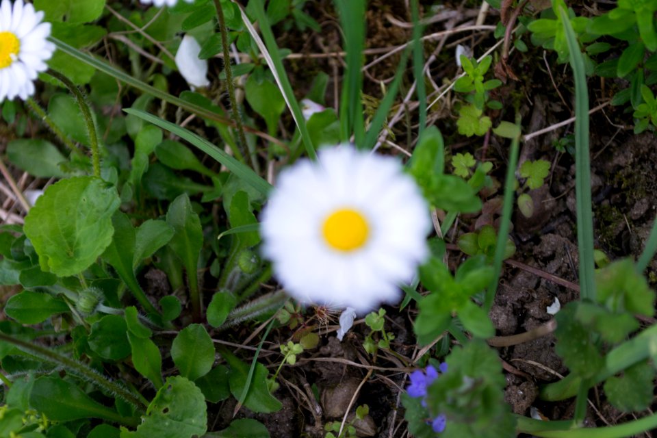 Nature