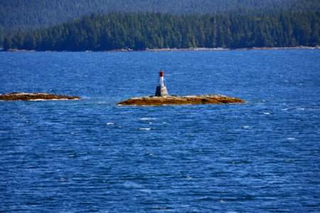 IMG 1580.jpg