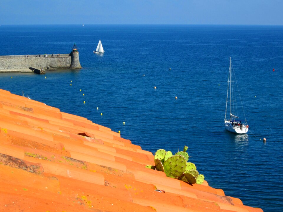 Harbour pyrénées-orientales france