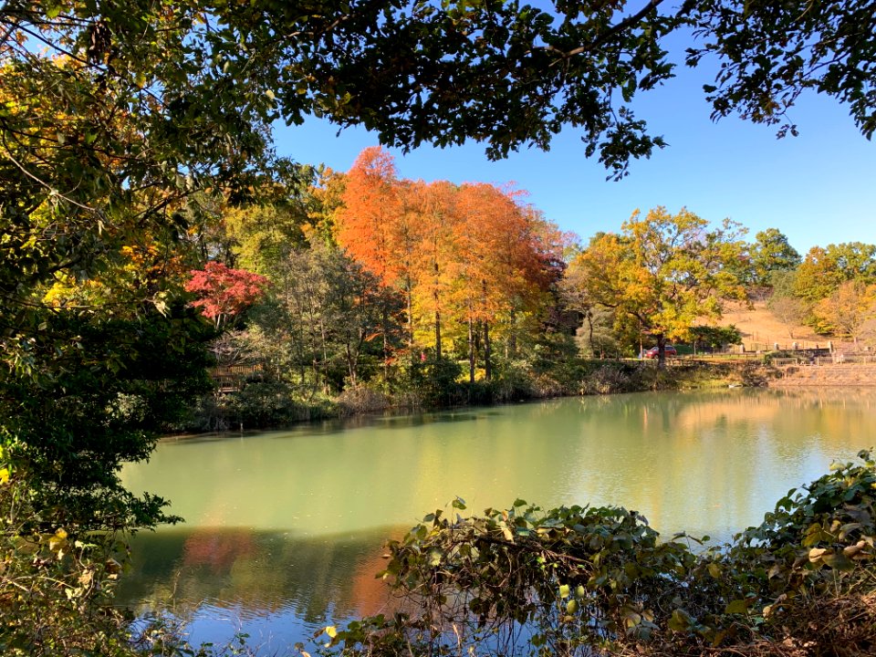 Sayama Park in Higashimurayama-shi