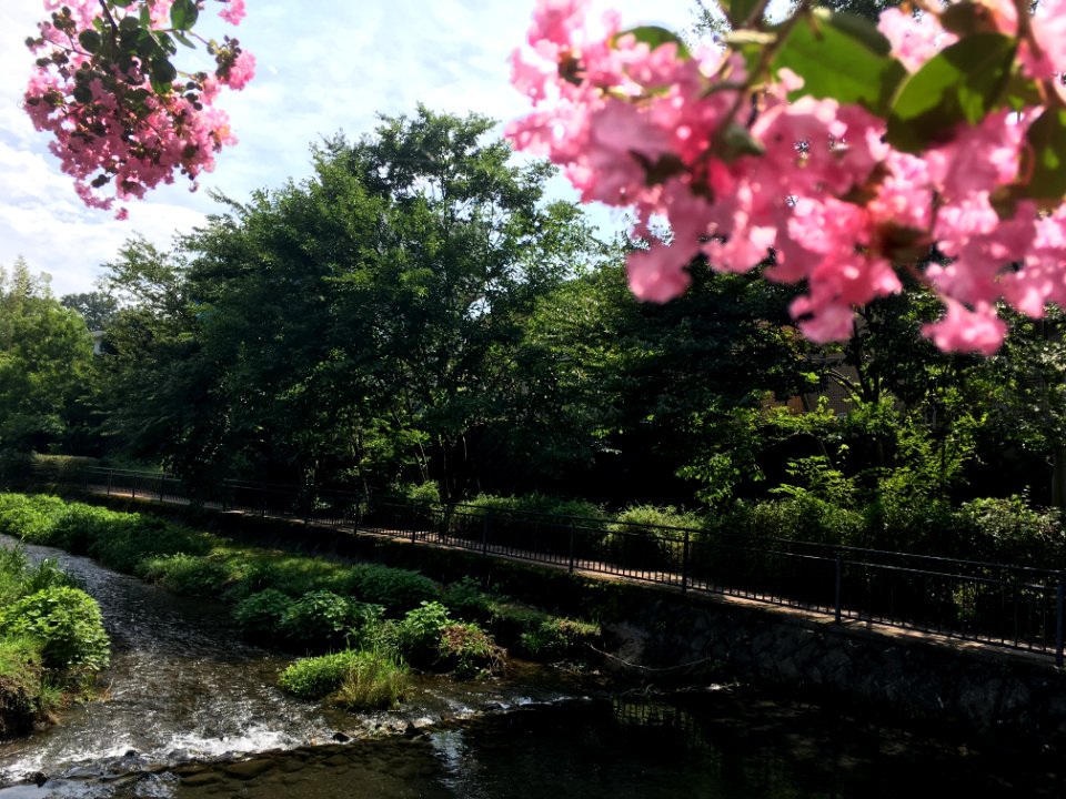 Minamisawa 1-chome in Higashikurume-shi
