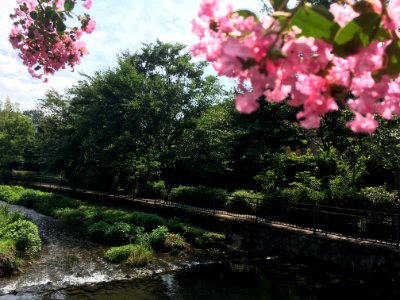 Minamisawa 1-chome in Higashikurume-shi