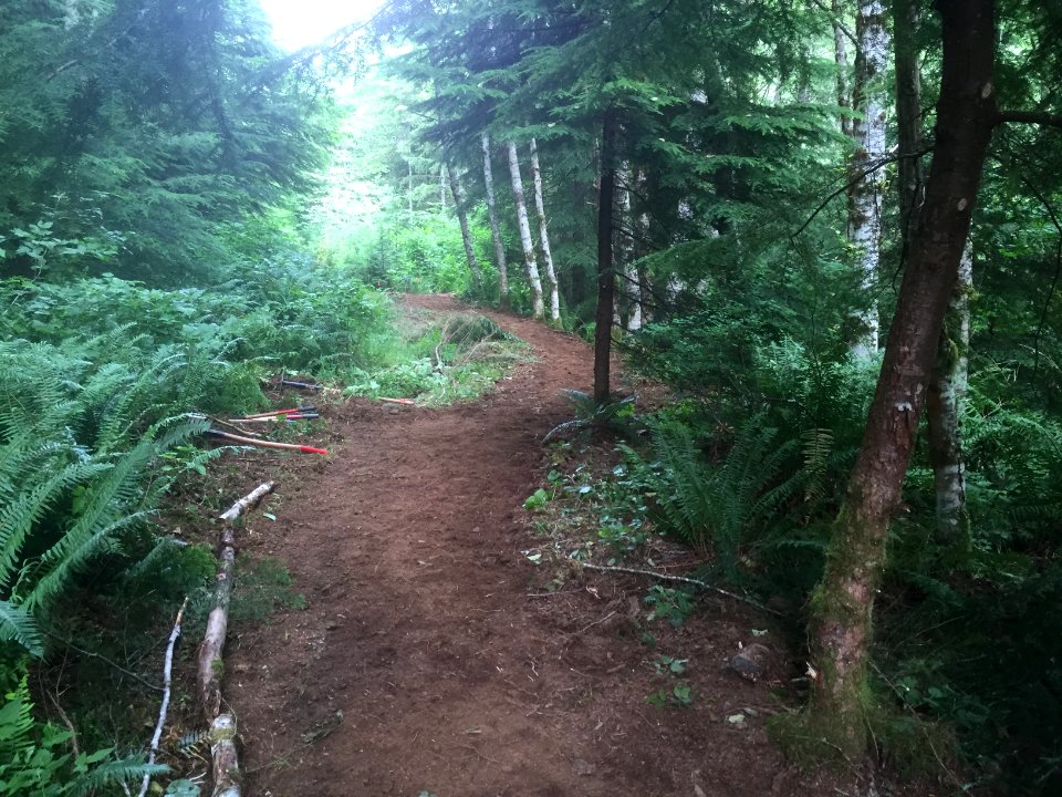 East Fork Lewis River Trail - 7-7-16