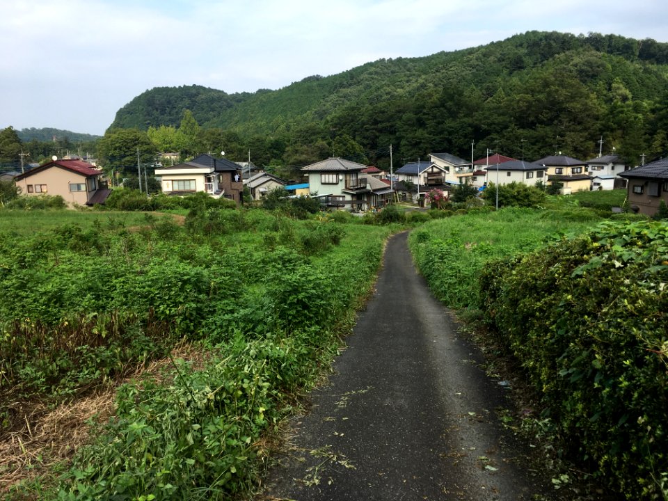 Tomioka in Ome-shi, Tokyo