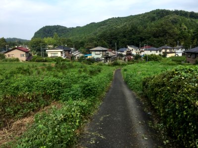 Tomioka in Ome-shi, Tokyo
