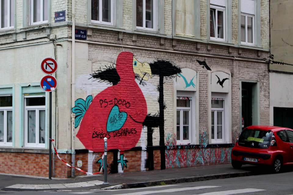 Street Dodo