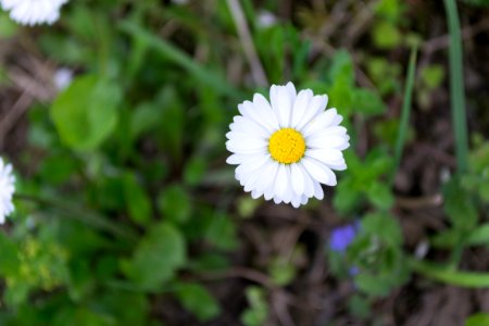 Nature