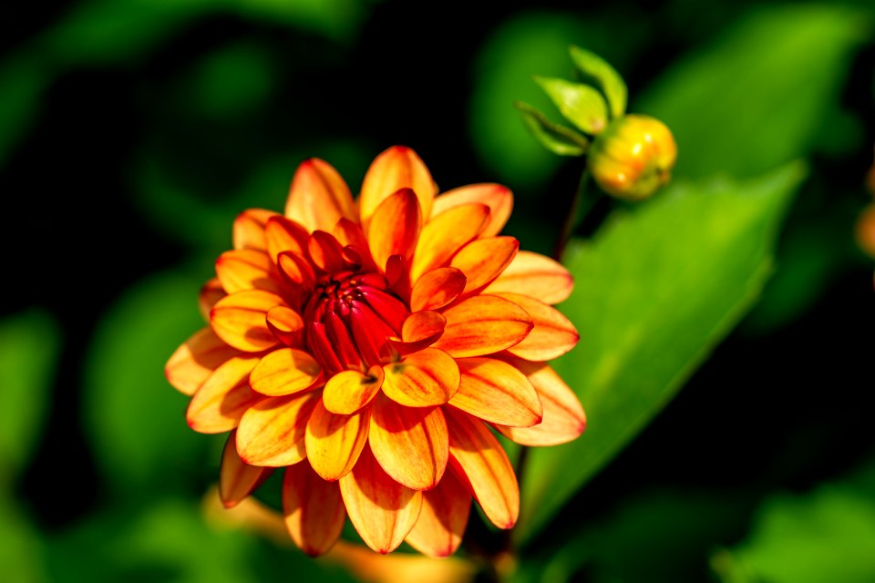 Colours of Sizergh  (4 of 7)