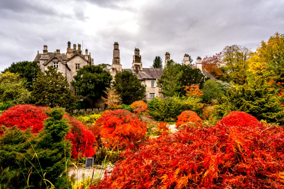 Colour at Sizergh