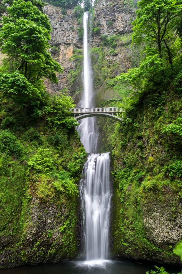Flowing forest green