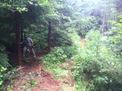 East Fork Lewis River Trail - 7-7-16
