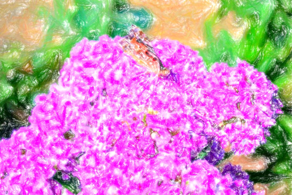 DSC 0030-wax-crayon